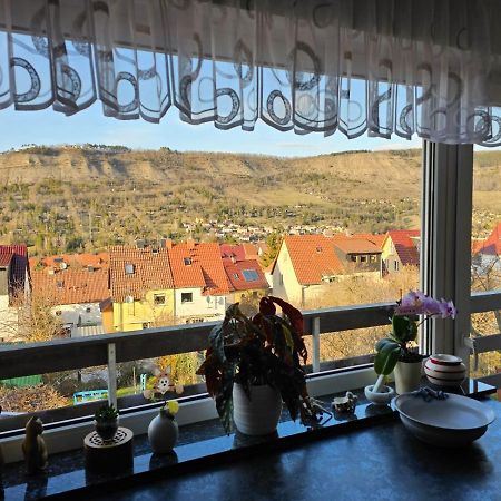 Unter Dem Fuchsturm Apartment Jena Ngoại thất bức ảnh